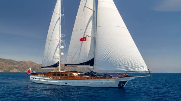 YA-33.60-RINA, motorsailer, 2007 satılık yat